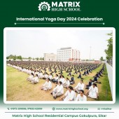 Yoga Day Celebrations June 2024 Pic 14